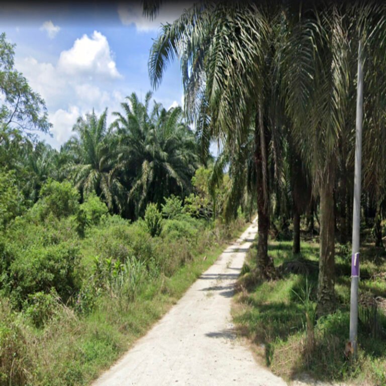 Screenshot 2024 08 02 at 3.16.34 PM 768x768